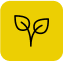 Soil fertility