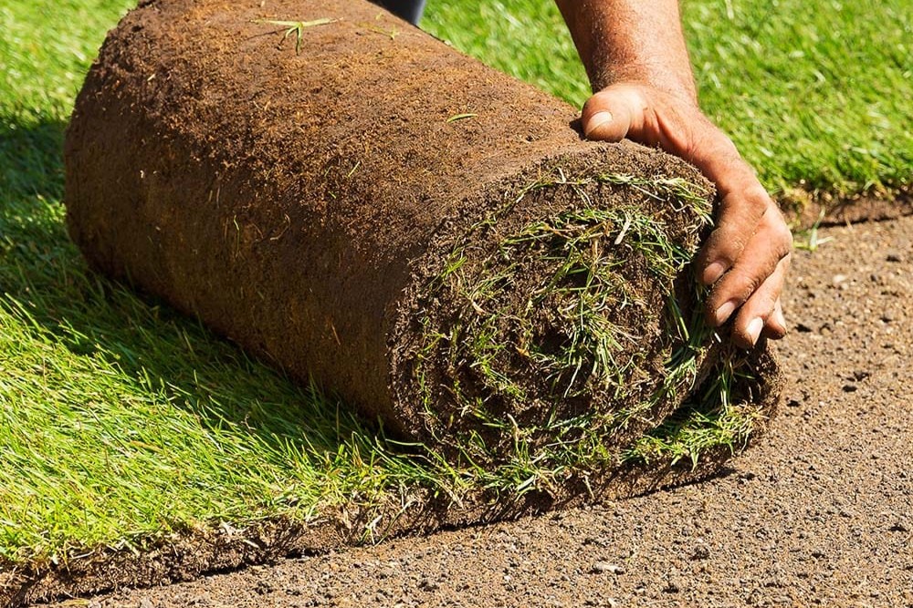 Turf & Landscaping